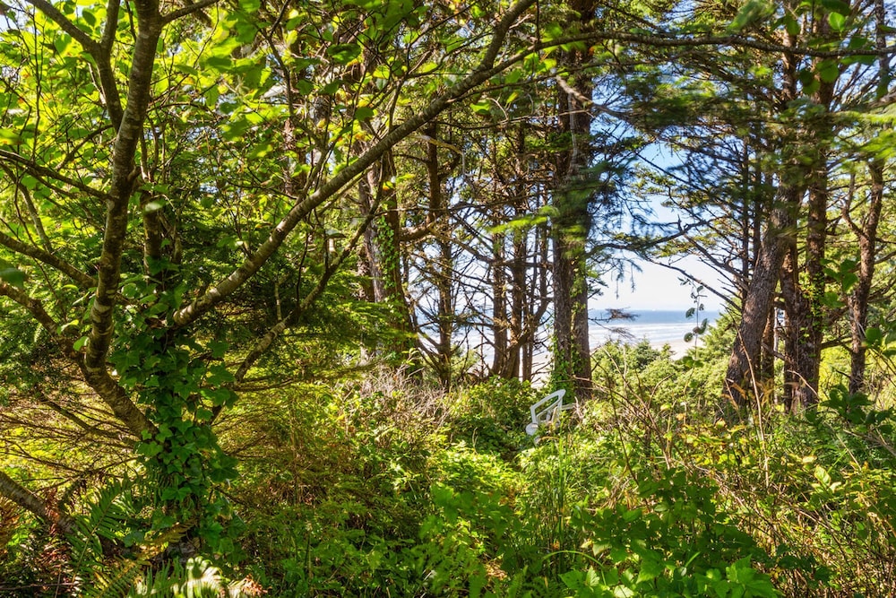 Sandcastle Bluff in Moclips