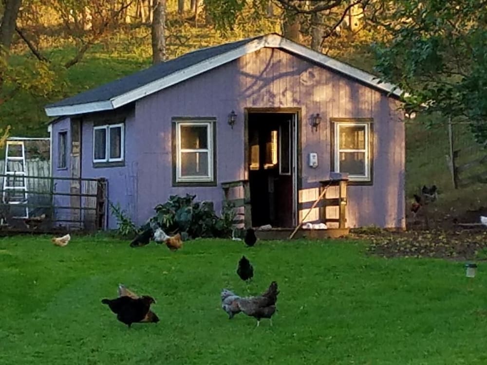 Rainbow Ridge Farms Bed and Breakfast Onalaska/La Crosse