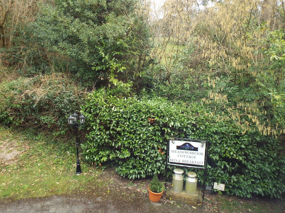 Meadowbrook Cottage B&B