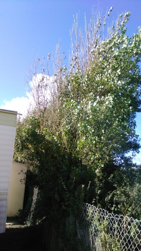 Photo 42