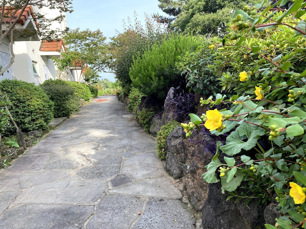 Memory In Jeju Pension