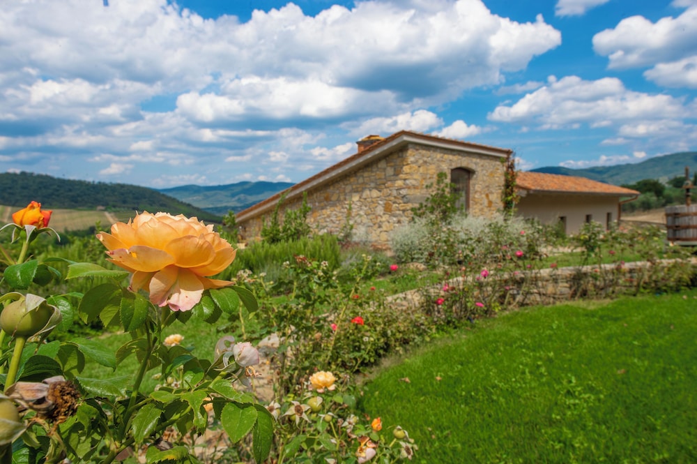 Villa Chianti With Pool Near The Vineyard