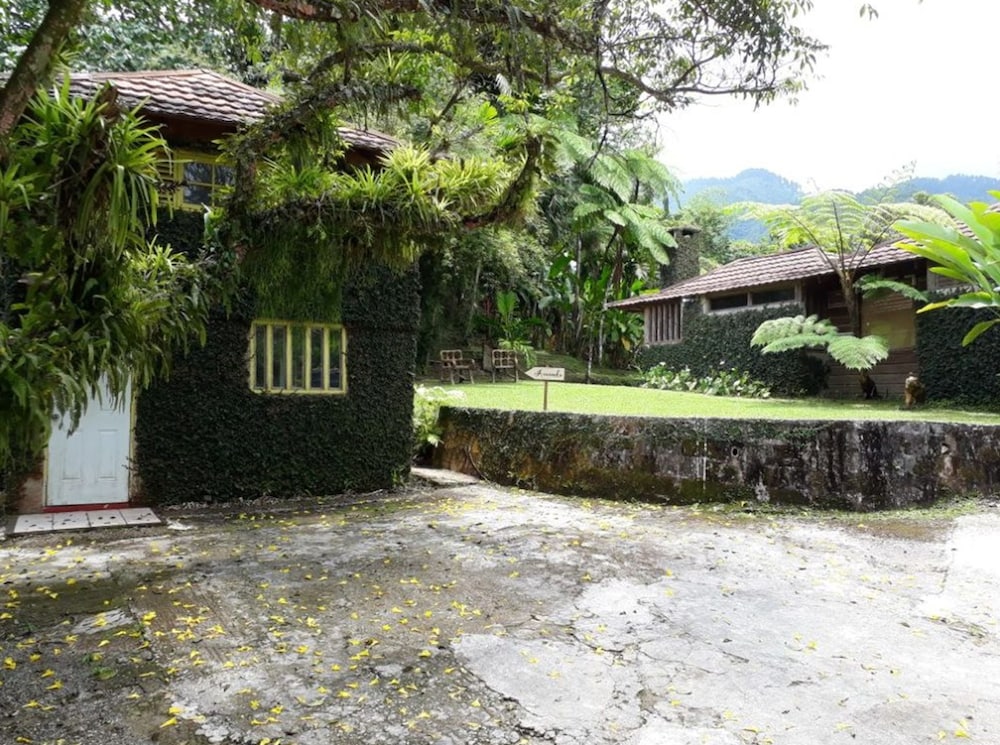 Lejartre's Retreat view 5