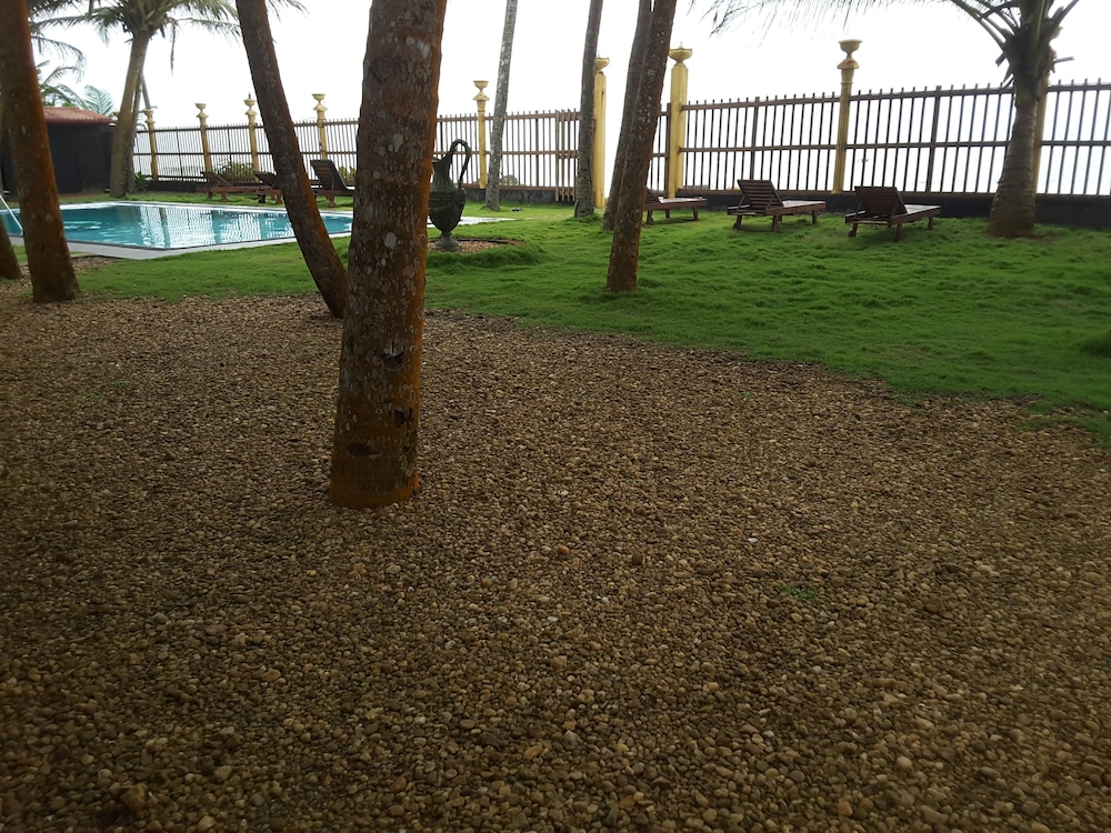 Photo 7