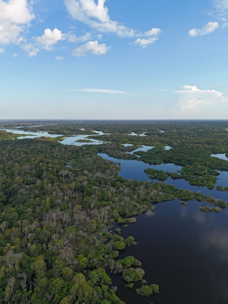 Amazon Private Tours Jungle Lodge