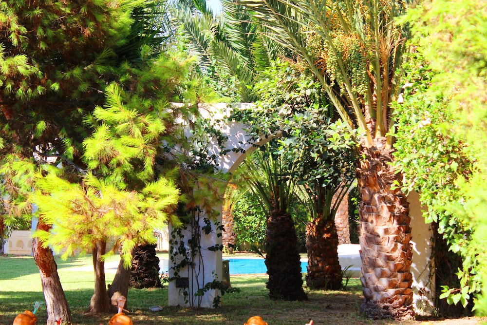 Photo 10