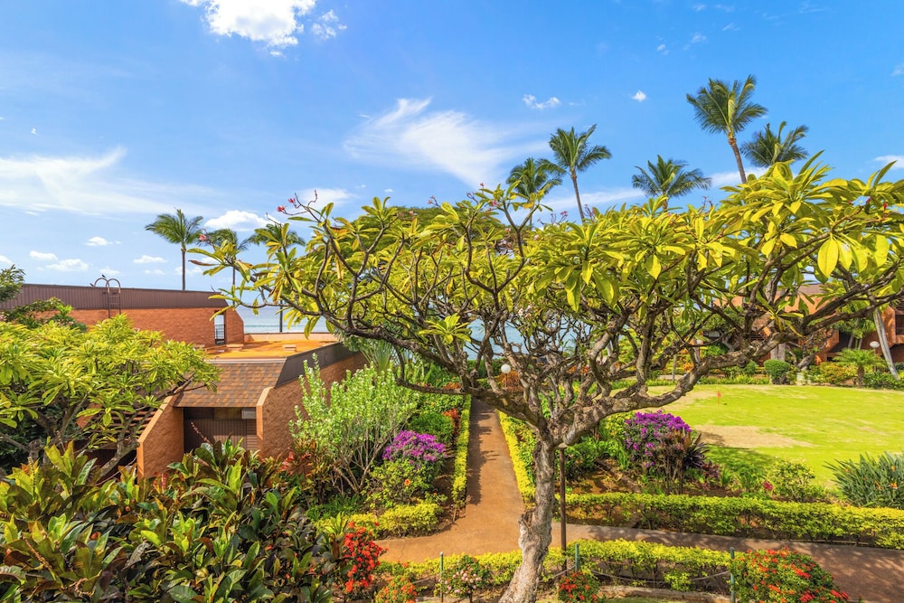 Kuleana Club - 510