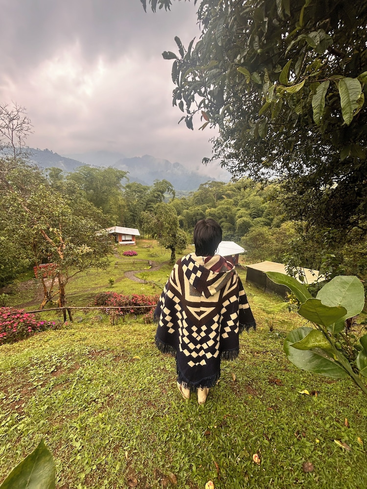 Green Bamboo Lodge