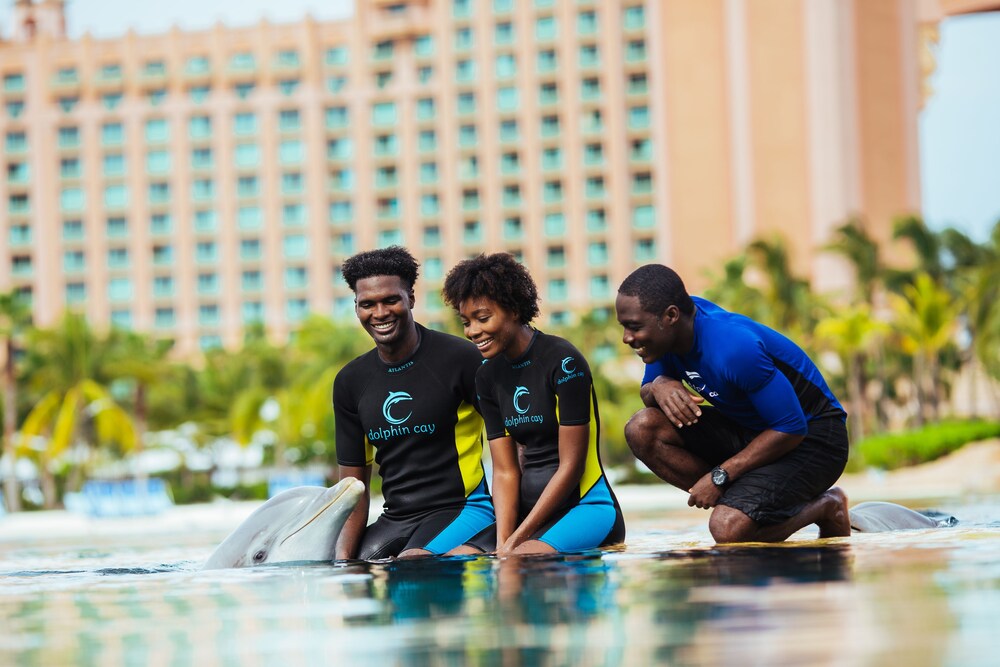 Nassau - Paradise Island Vacations - Harborside Resort  Vacation Rentals at Atlantis - Property Image 65