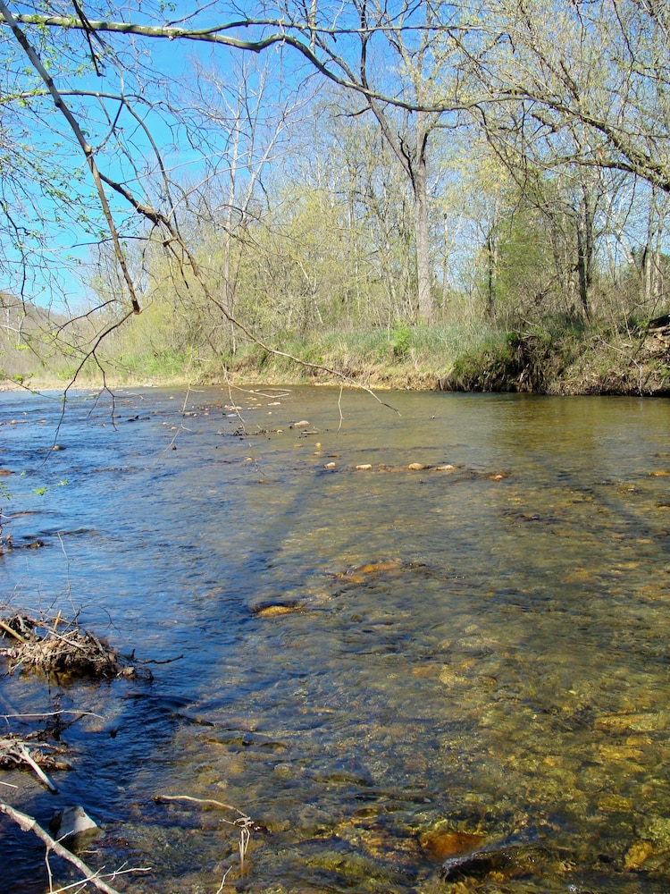 Lexington Vacations - DeHart Cabin - Property Image 28
