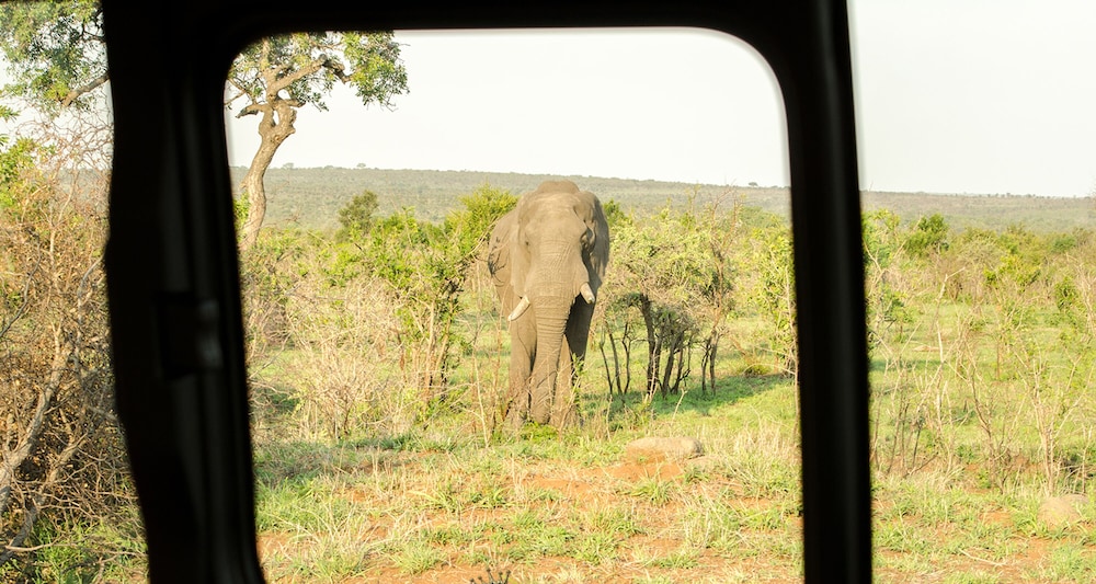 Elandela Private Game Reserve & Luxury Lodge