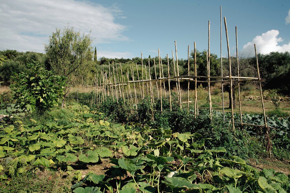 Kukutseli Country Living by White Dream