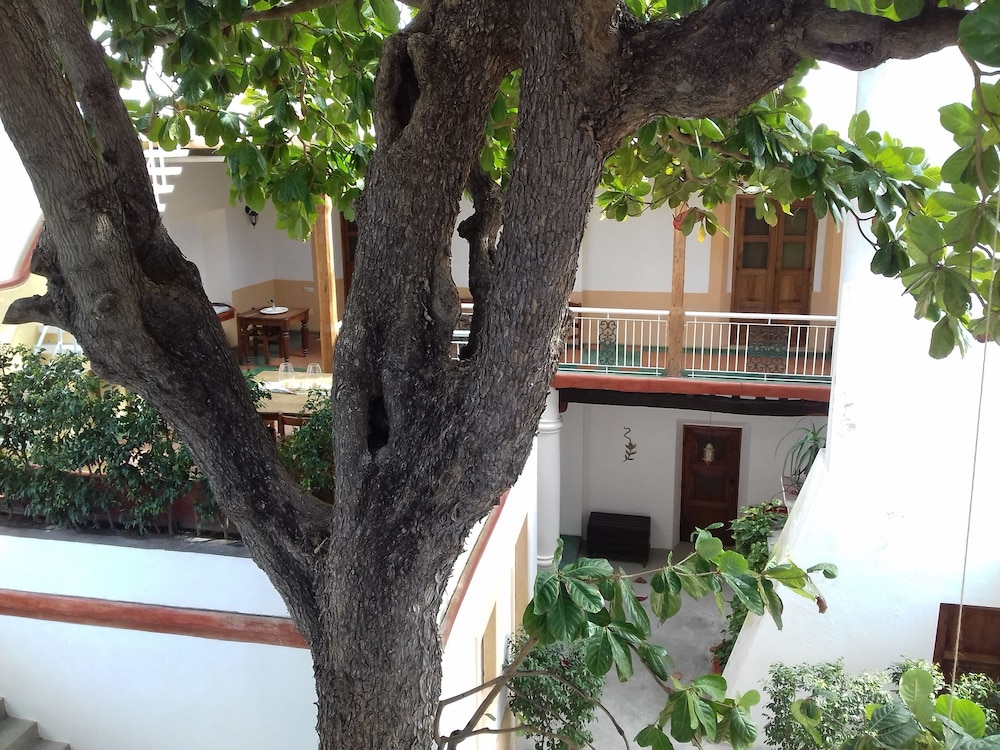 Jardim dos Aloés - Unique B&B, photo 101