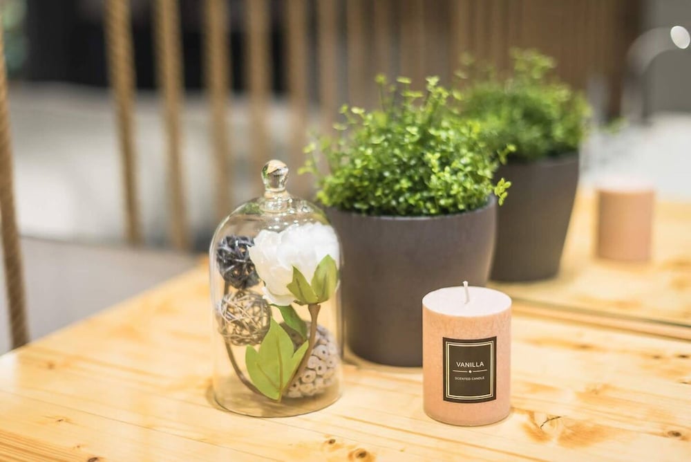 Small Minimal Paradise in the Center of the City