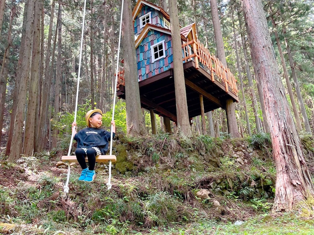 Mieux forest