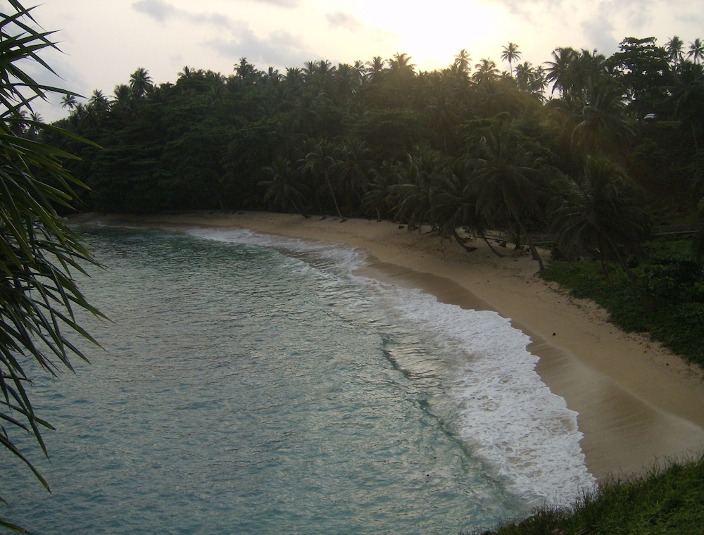 Photo 47