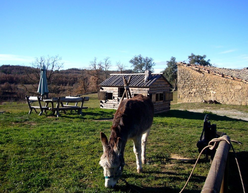 Photo 25
