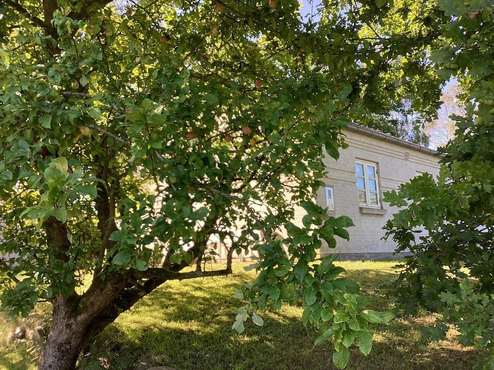 4 Star Holiday Home in Ebeltoft view 3