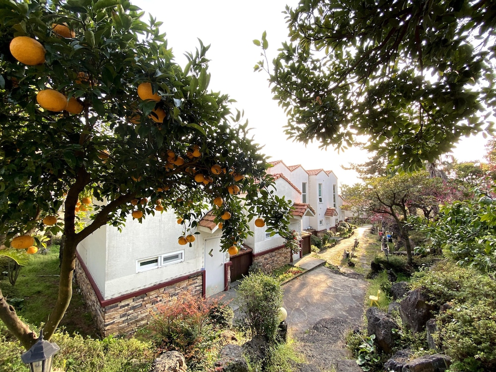 Memory In Jeju Pension