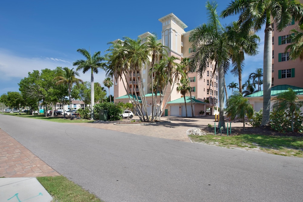 Palm Harbor #403