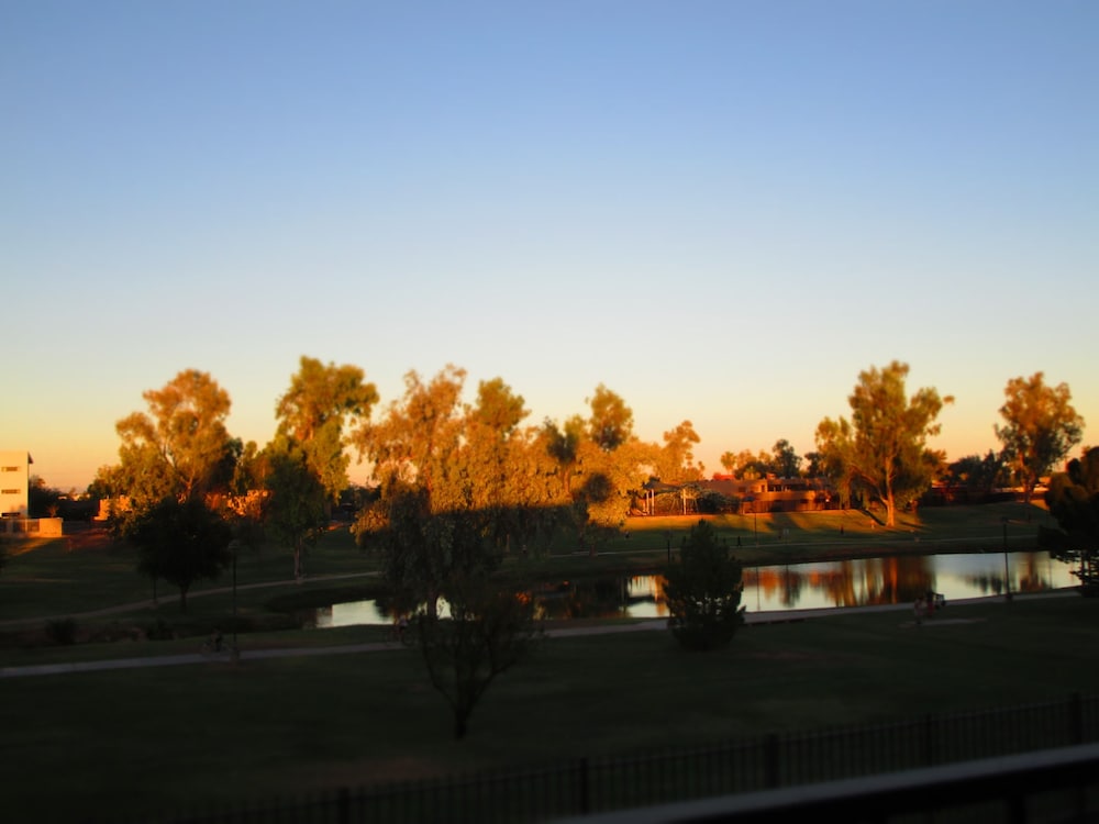 Photo 35