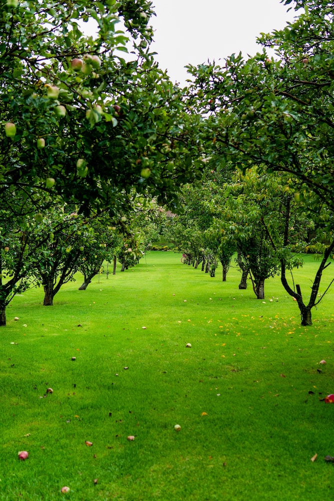 Sierra Lago Resort  Spa - All inclusive - Property Image 173