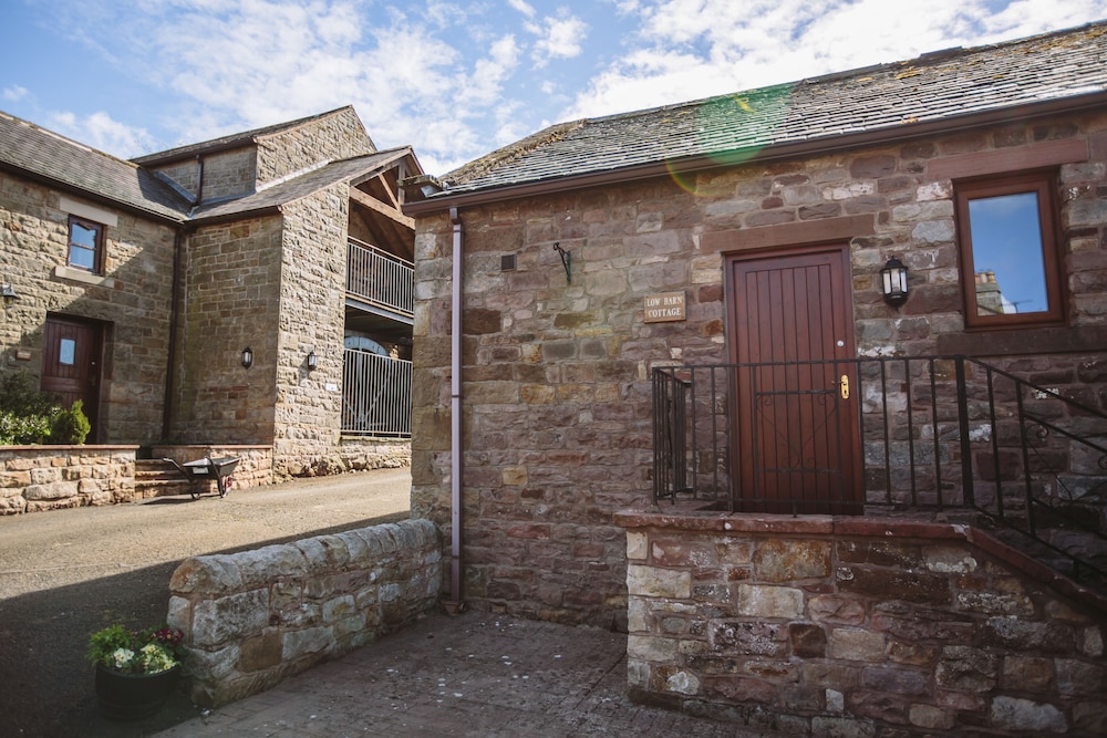 Photo 10