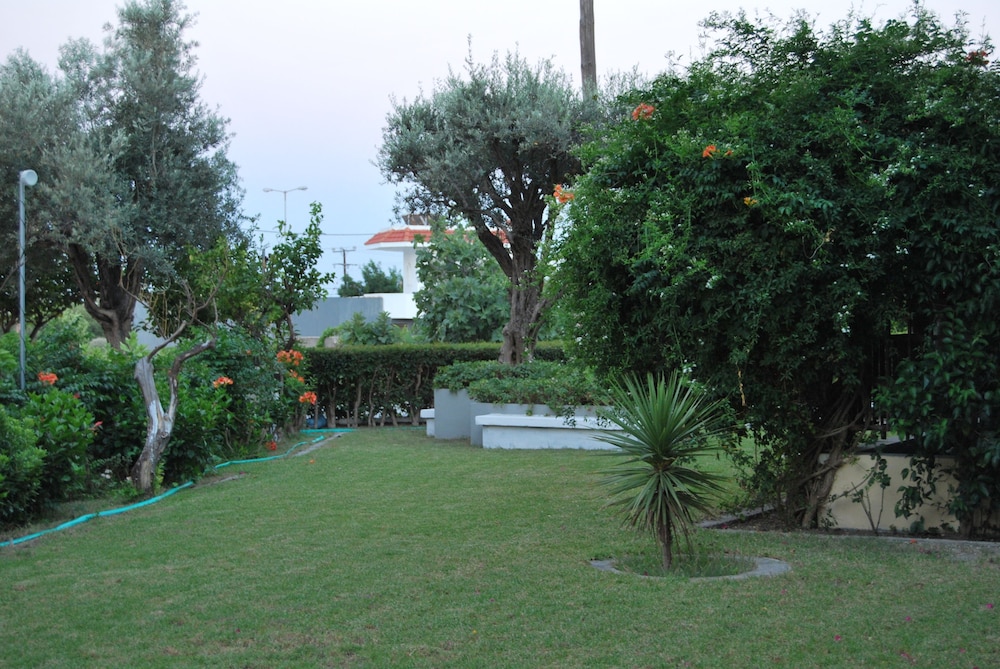 Photo 37