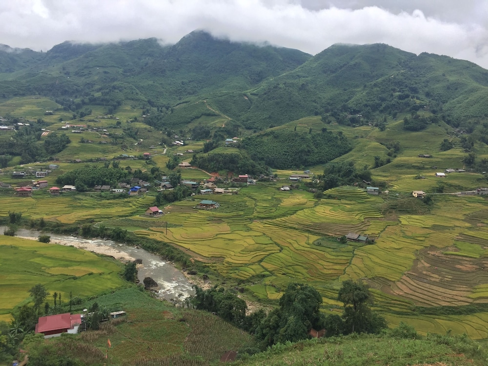 Freedom Homestay