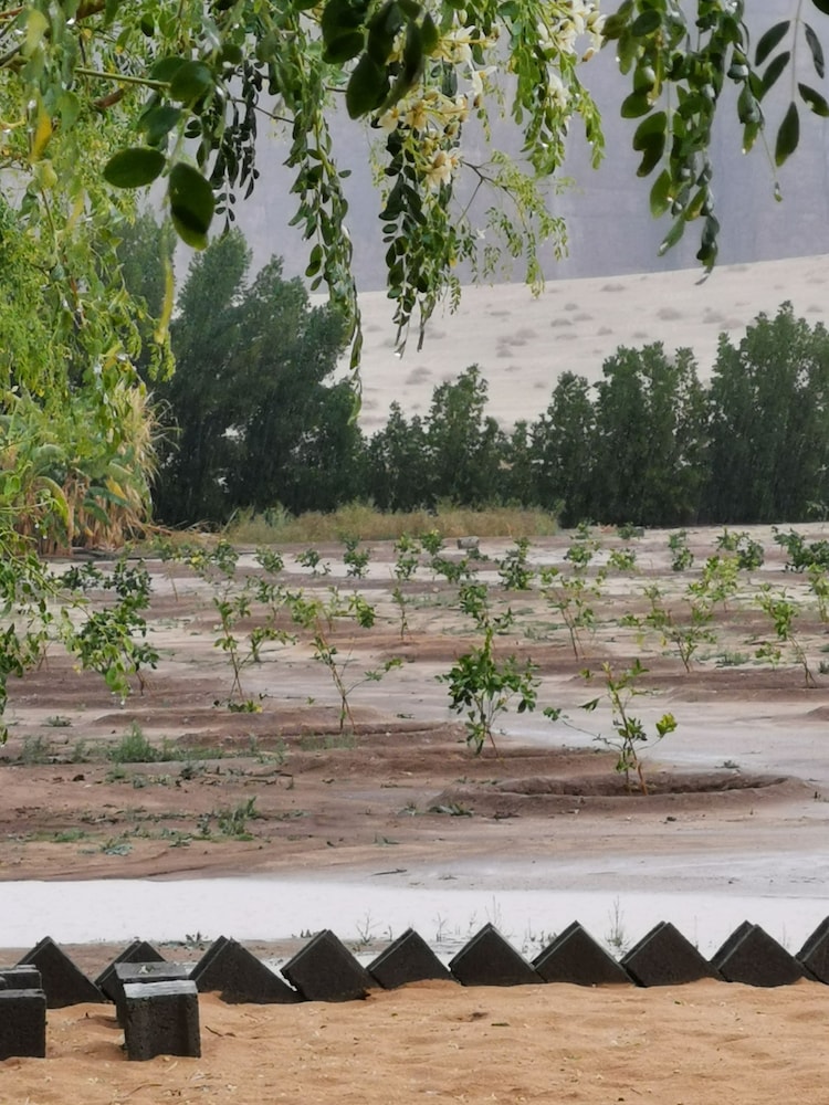 Almazham Farm House In Madin Saleh Alula — الصور