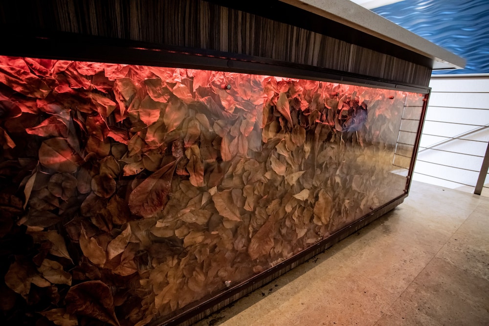 Ciqala Suites Hotel - Property Image 4