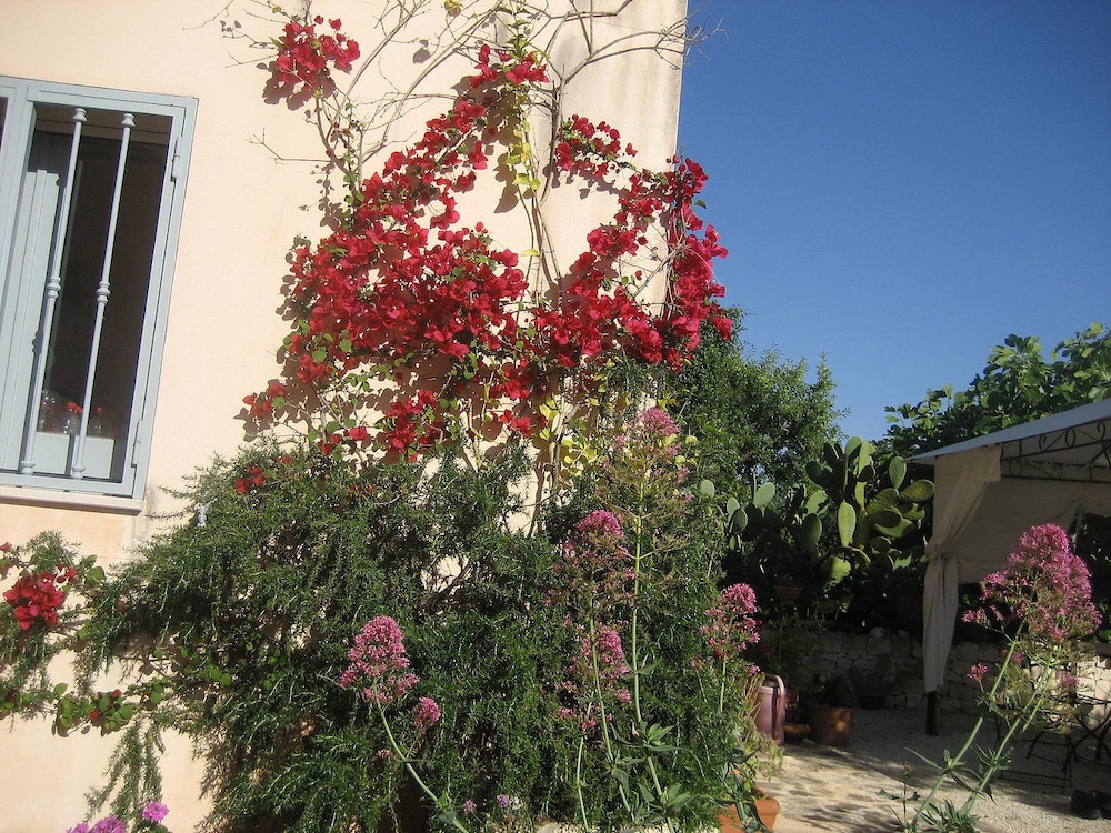 Photo 29