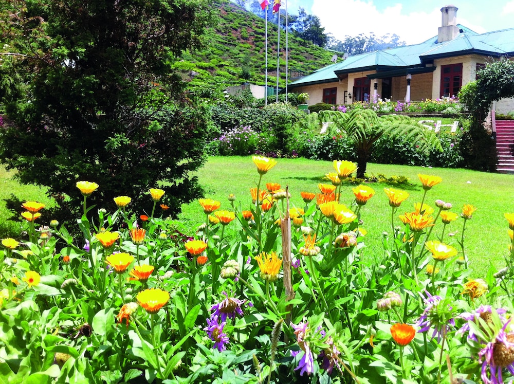 Tea Bush Hotel - Nuwara Eliya