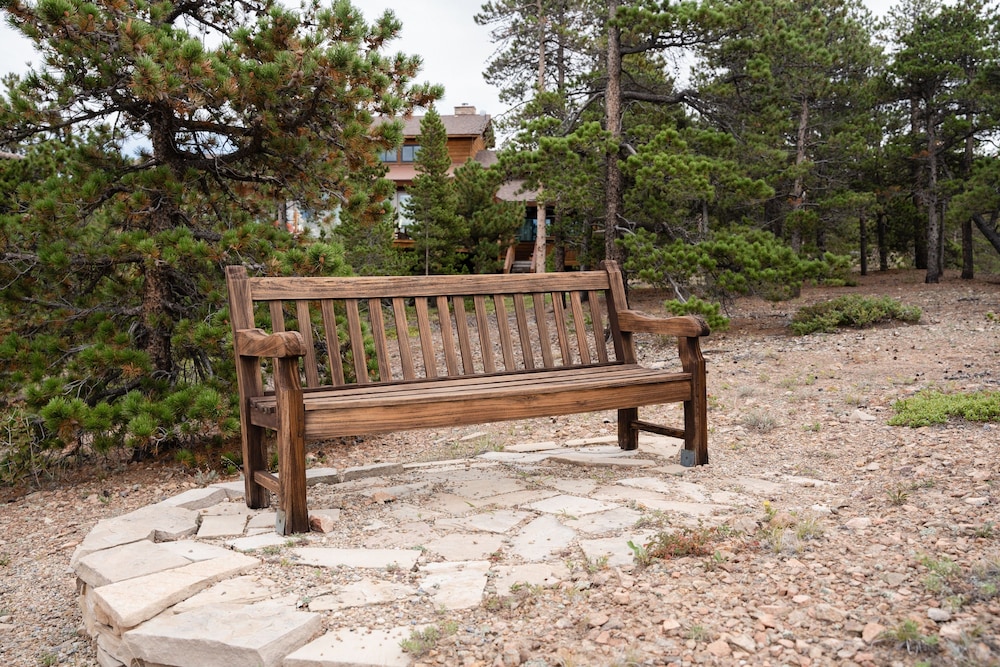 Photo 41