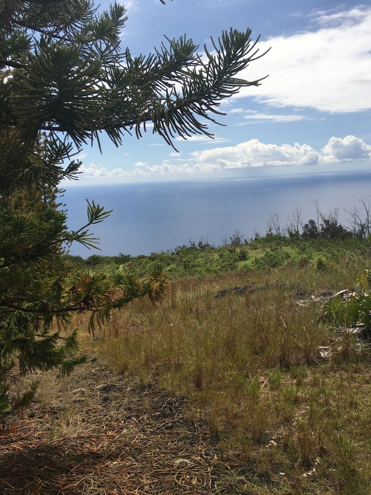 Plumeria Grove Cottage view 4
