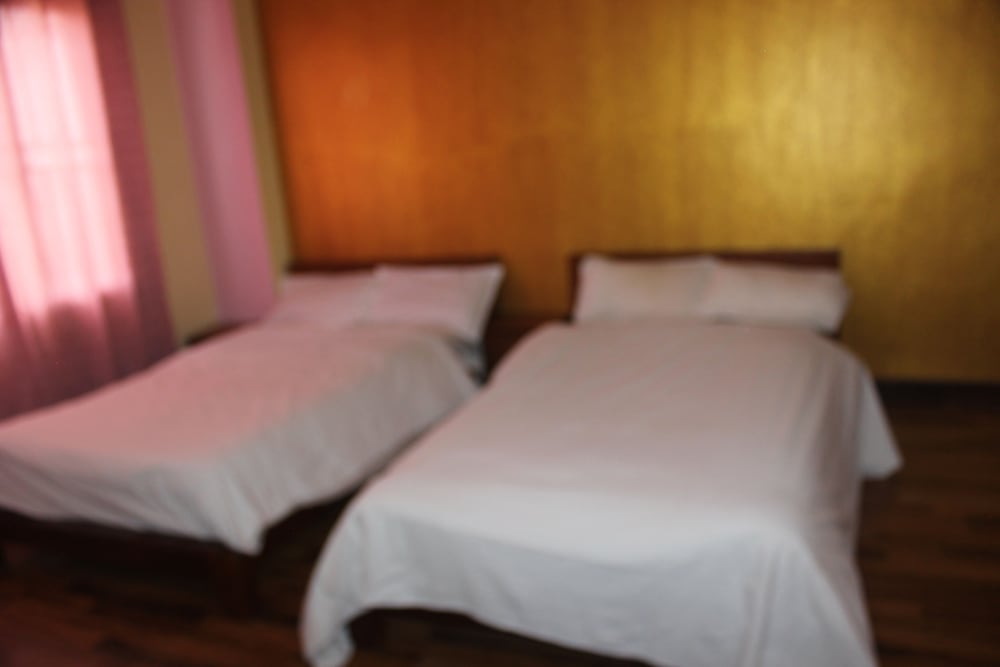 Manasalu Homestay