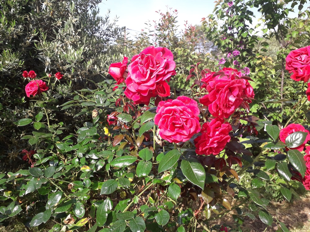 La Villa Provencale