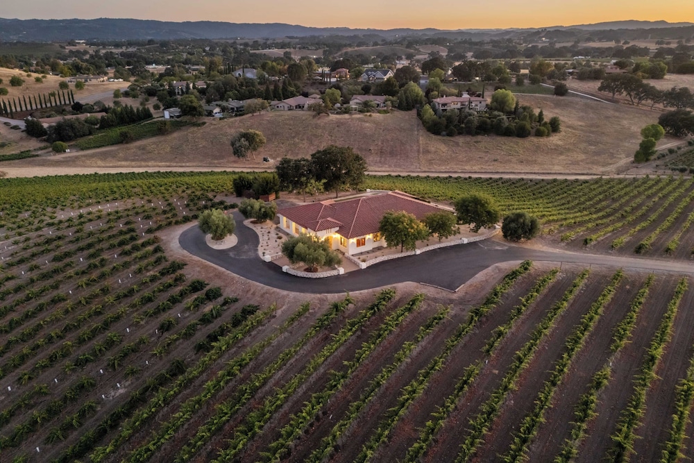 Wine Country Escape w/ Views + Wine Cellar & Gym Caterina Dusi Vineyard by Avantstay