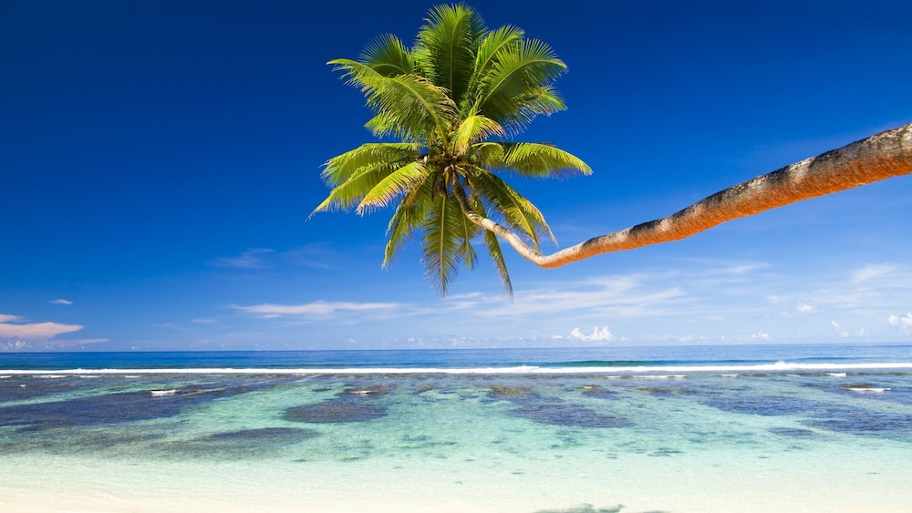 Equa Reef Maldives