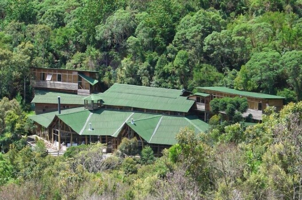 Alive Eco Hut