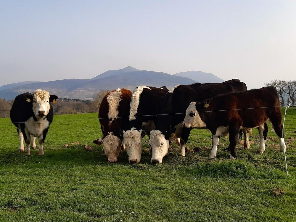 Inveraray Farm