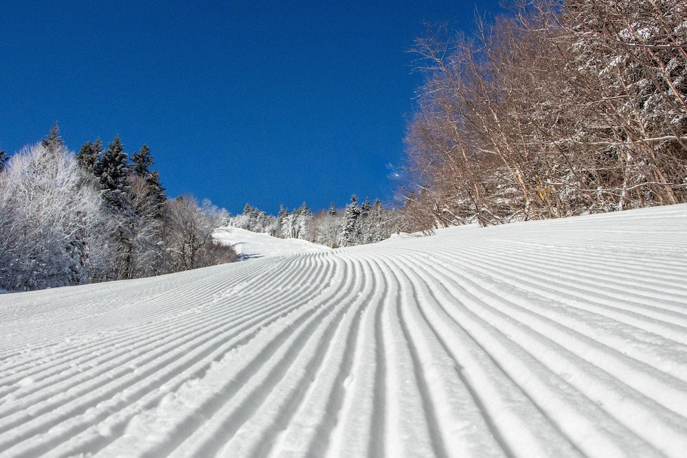 Vantage Point Villas at Stratton Mountain Resort