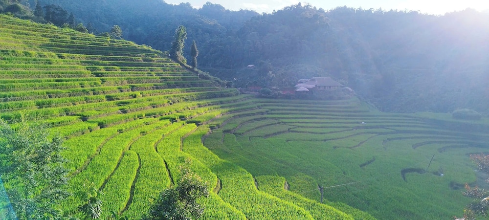 Ban Lien Homestay