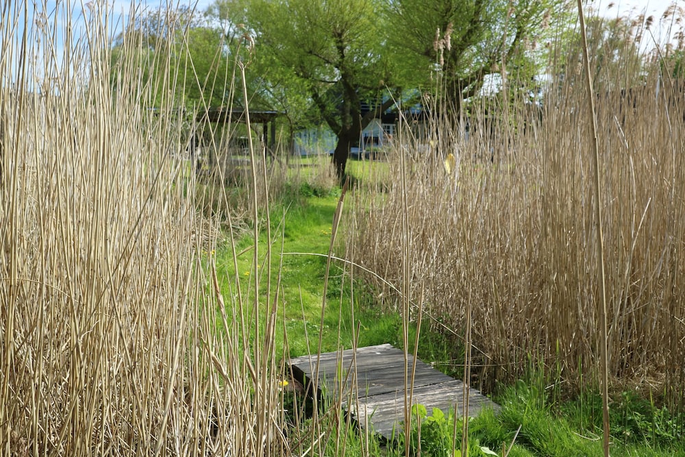 Birkelygaard Bed & Breakfast