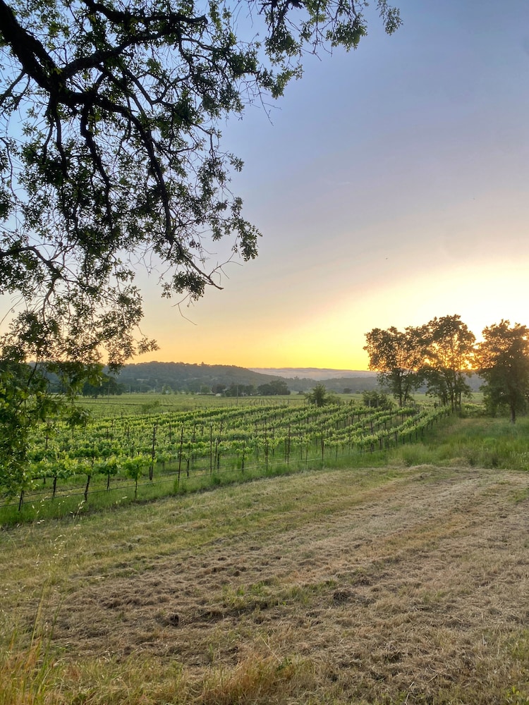 Beltane Ranch 51
