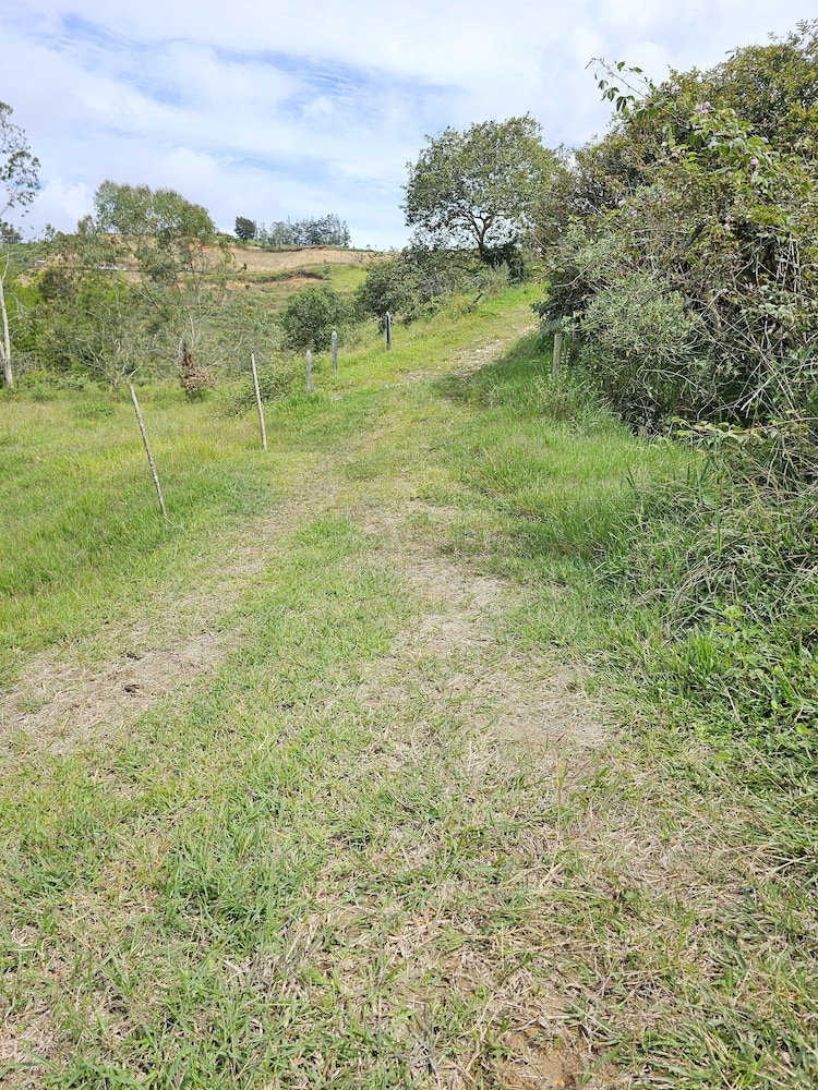Photo 29