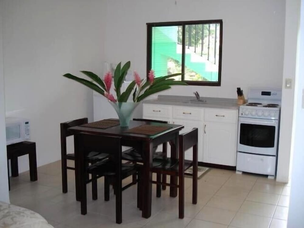 Green Forest of Coco Beach Studios