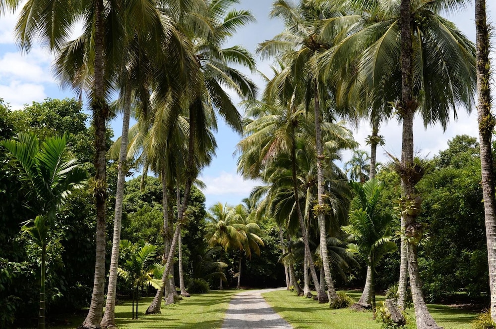 Cape Trib Farmstay