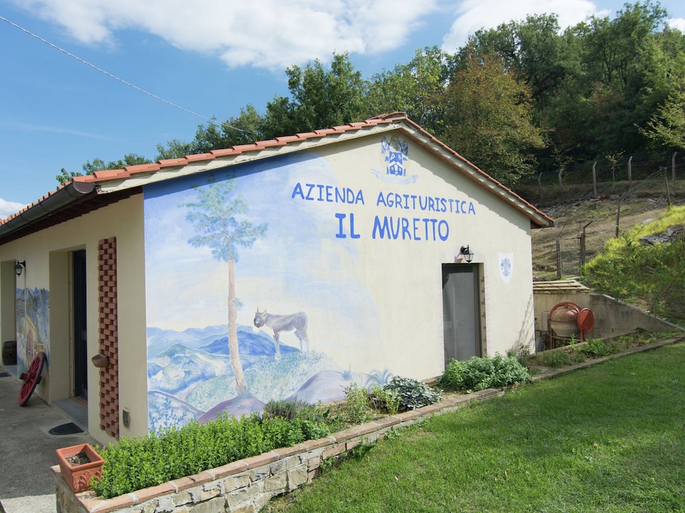 Spacious Holiday Home in Vicchio With Private Pool view 5