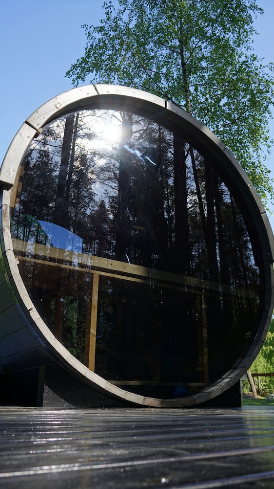 Metai Miške&a Year in the Forest